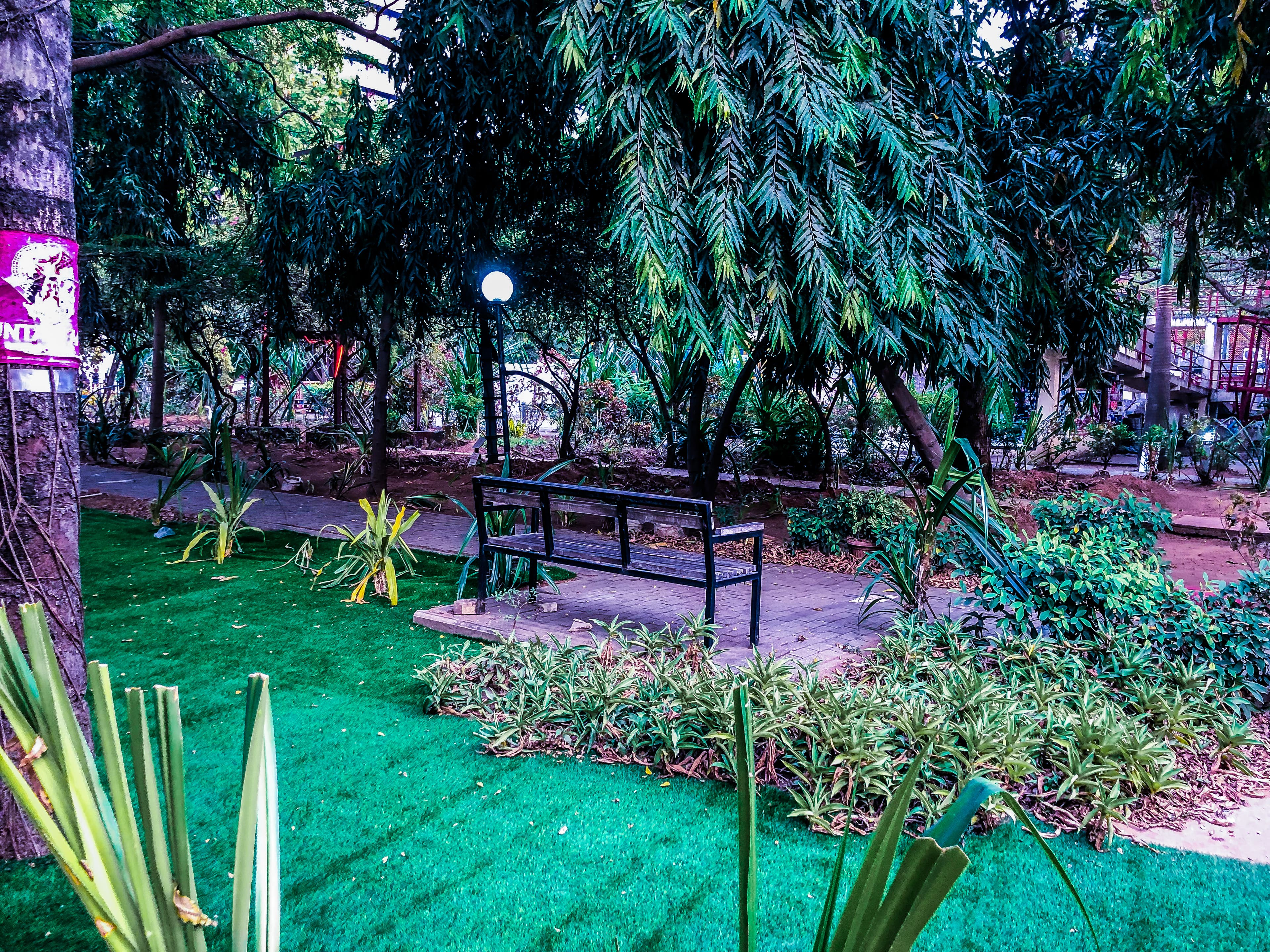 A quiet bench along a tree-lined path at Freedom Park.